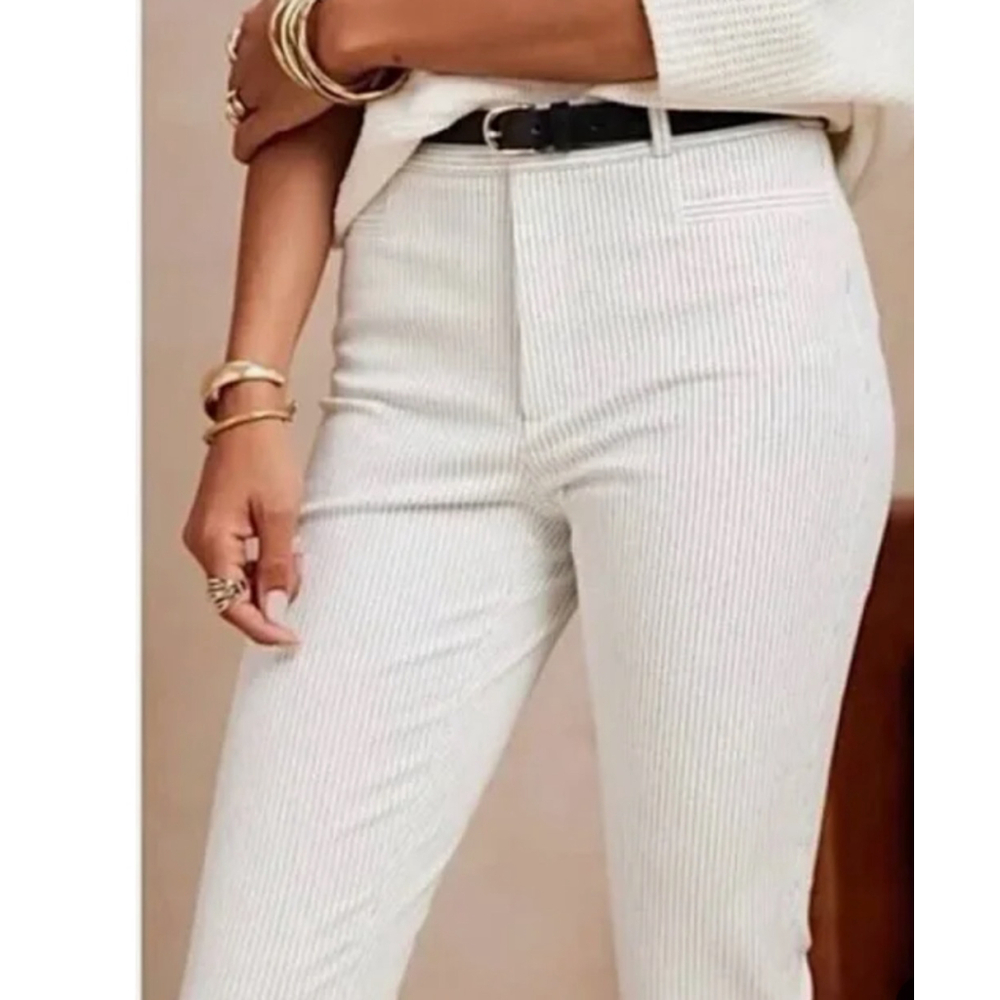 Banana Republic Factory Sloan striped cropped pants size 6 - Picture 1 of 10